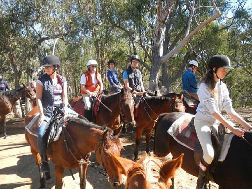 Uncle Nev's Trail Rides, Upper Plenty, VIC