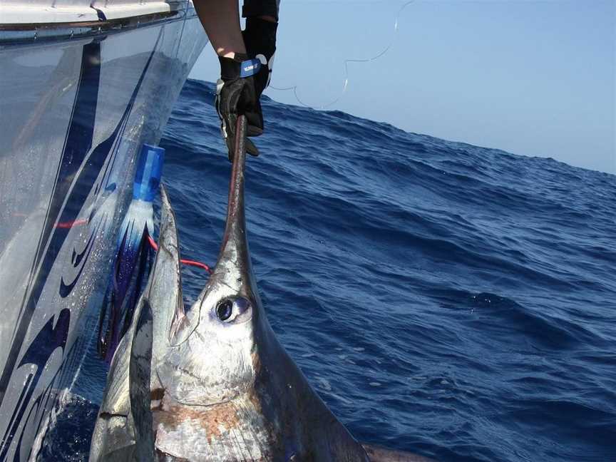 On Strike Charters, Exmouth, WA