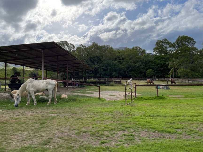 Mount-N-Ride Adventures, Little Mulgrave, QLD