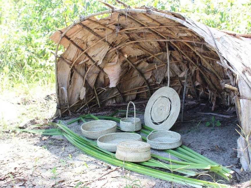 Mandingalbay Ancient Indigenous Tours, Cairns City, QLD