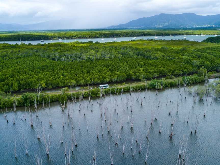 Mandingalbay Ancient Indigenous Tours, Cairns City, QLD