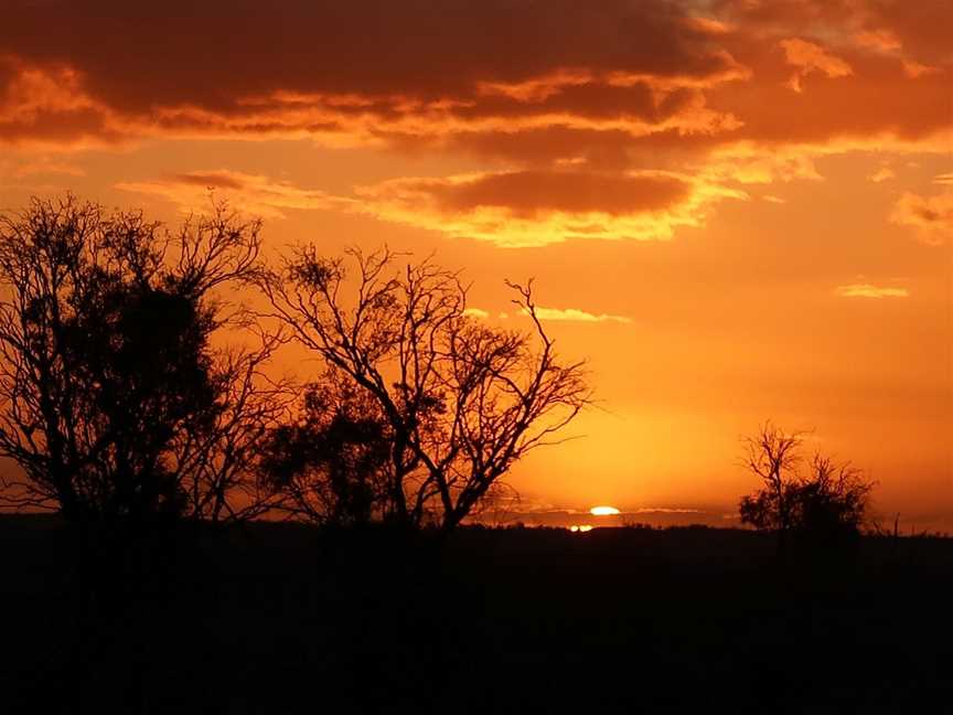 Murraytrek 4WD Outback Adventure Day Tours, Mildura, VIC