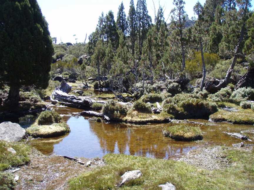 Tasmanian Wilderness Experiences, Glenfern, TAS