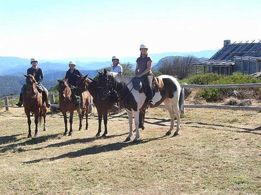 Hidden Trails by Horseback, Mansfield, VIC