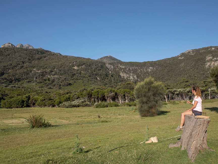 Shutterbug Walkabouts, Hobart, TAS