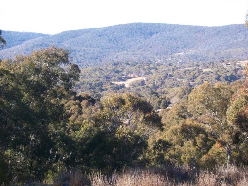 Thredbo Valley Horse Riding, Crackenback, NSW