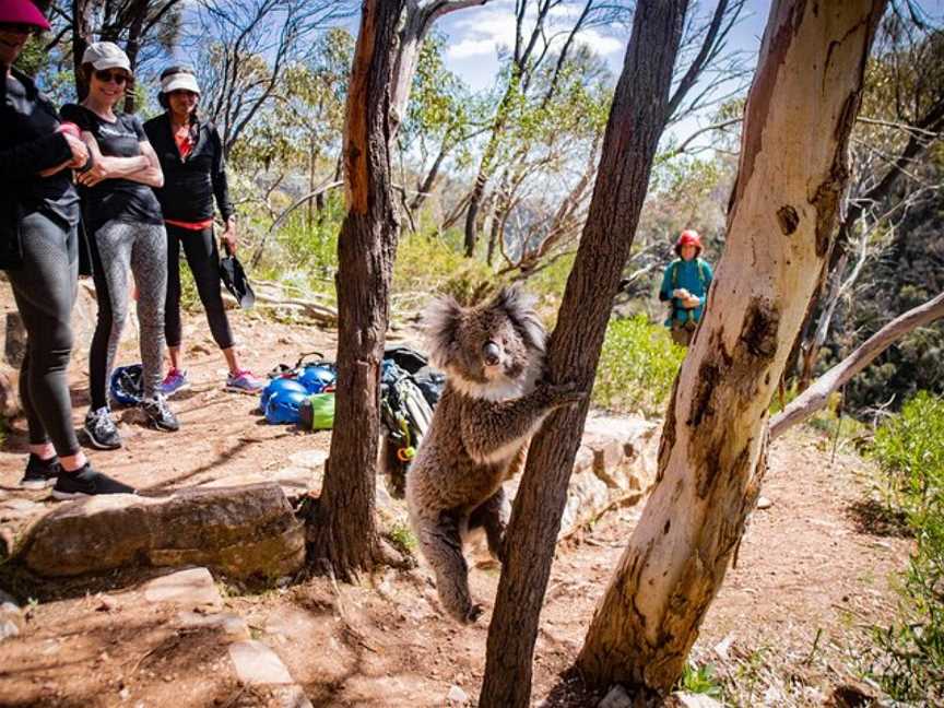 Rock Solid Adventure, Adelaide, SA