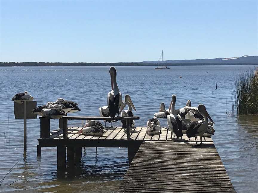 Gondolas of Noosa, Noosa Heads, QLD