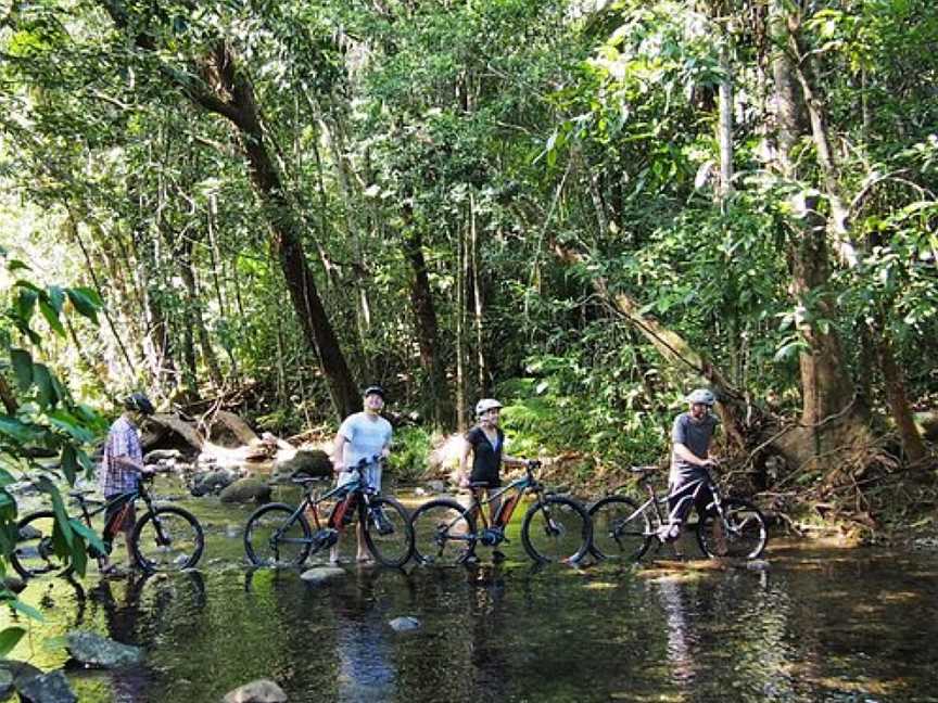 Freeride Electric Adventure Tours, Cape Tribulation, QLD