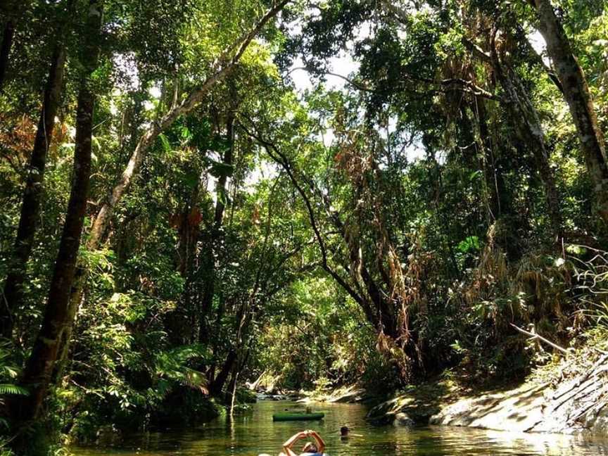 Freeride Electric Adventure Tours, Cape Tribulation, QLD