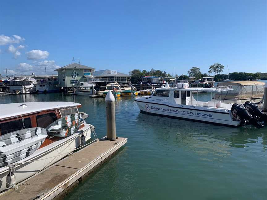 Deep Sea Fishing Co Noosa Aboard CATCH 22 & DEEPSEA 7, Tewantin, QLD