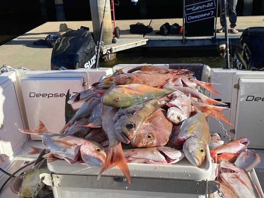 Deep Sea Fishing Co Noosa Aboard CATCH 22 & DEEPSEA 7, Tewantin, QLD