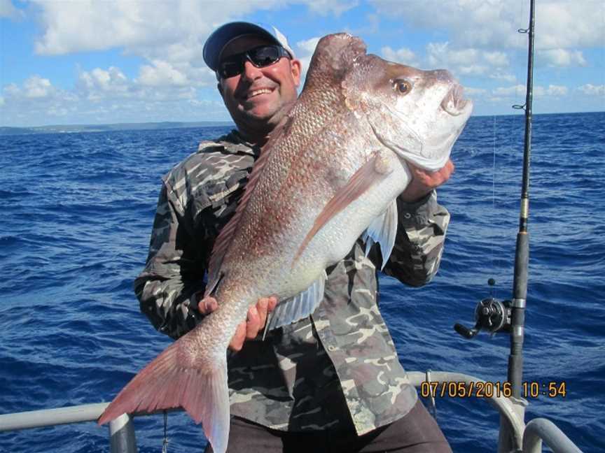 Frenzy Charters, Brisbane, QLD