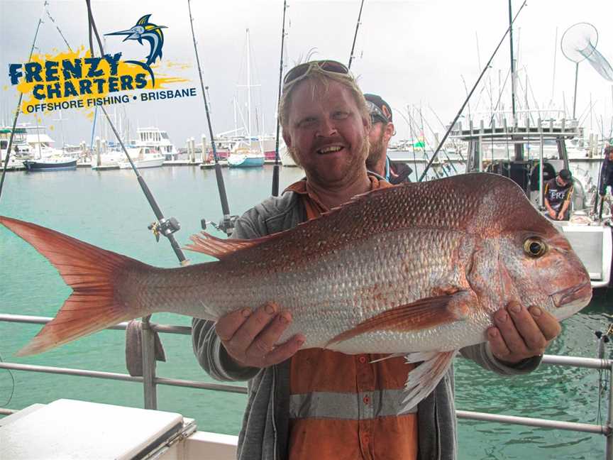 Frenzy Charters, Brisbane, QLD