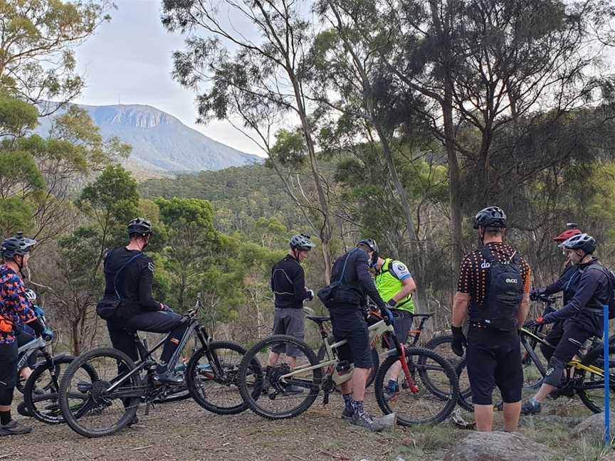 Hobart Mountain Bike Tours, Hobart, TAS