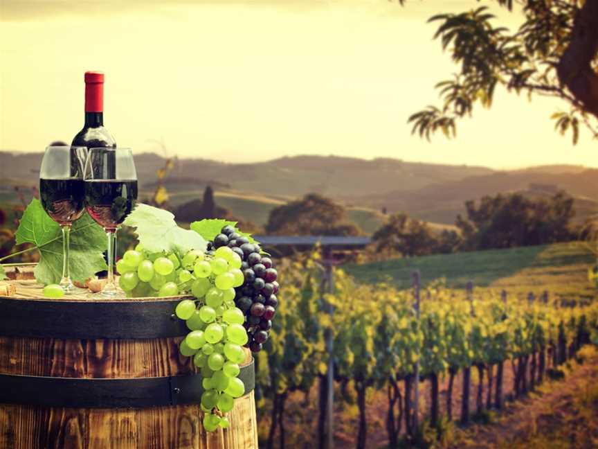 Best Tour Hunter Valley Wine Tasting Tours, Toronto, NSW