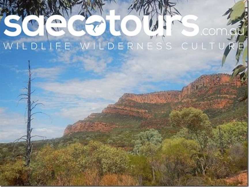 SA Eco Tours, Adelaide, SA