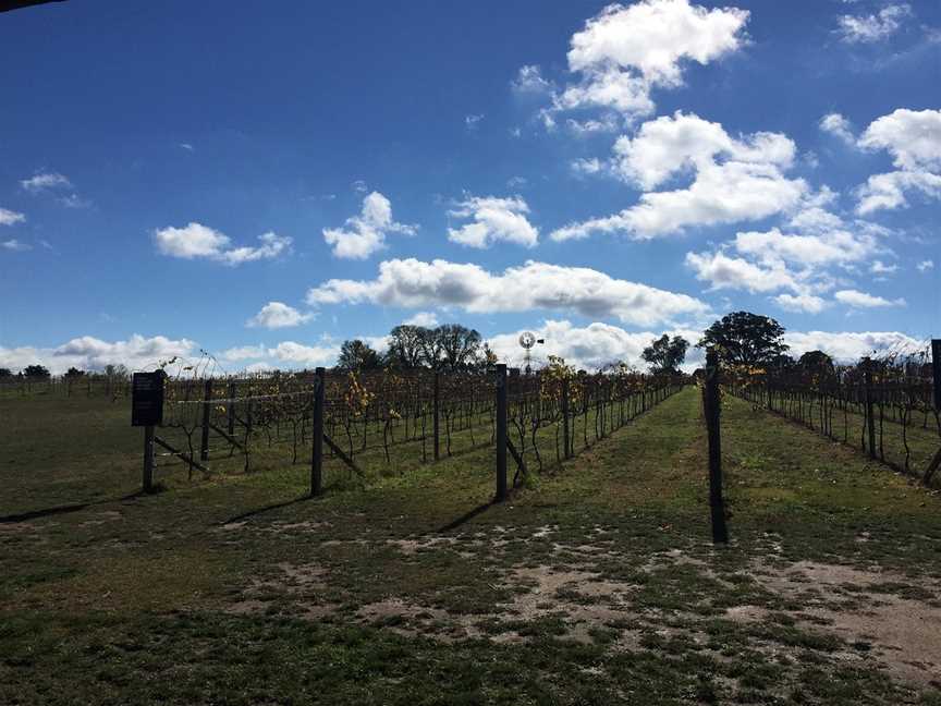 Vines & Wines, Canberra, ACT