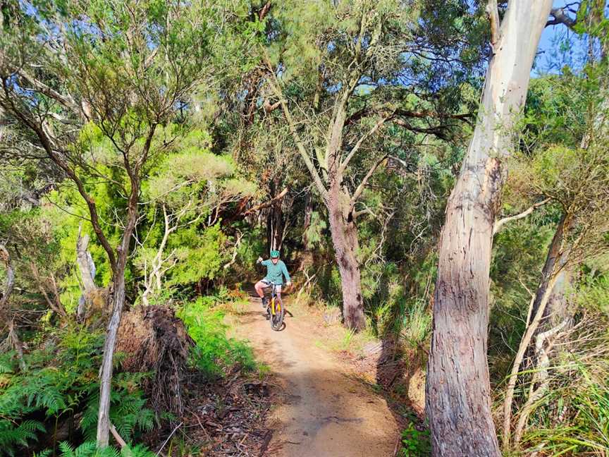 Red Hill Trail Co, Red Hill, VIC