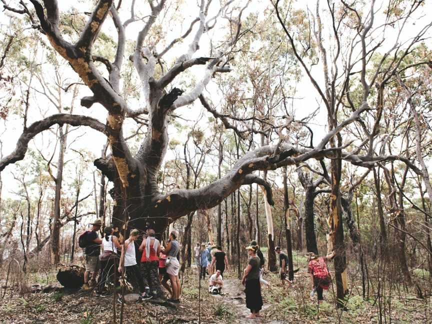 Girri Girra Aboriginal Experiences, Gosford, NSW