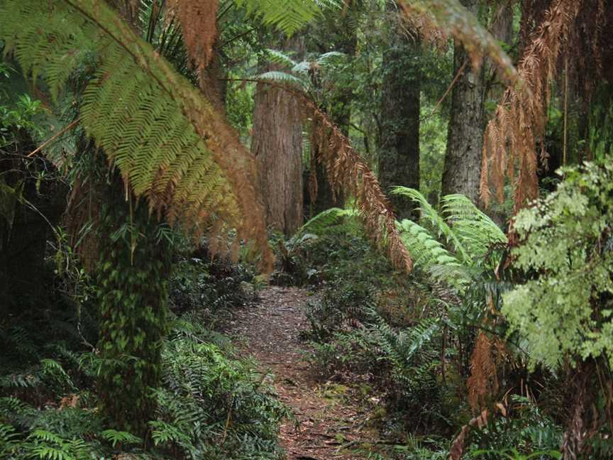 Tall Timbers Adventure Tours, Smithton, TAS