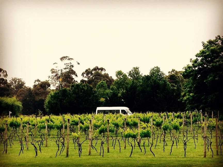 The Highlands Tour Co, Bowral, NSW