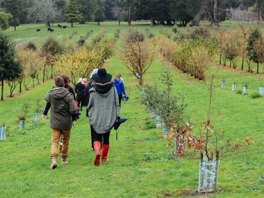 MP Experience, Red Hill, VIC