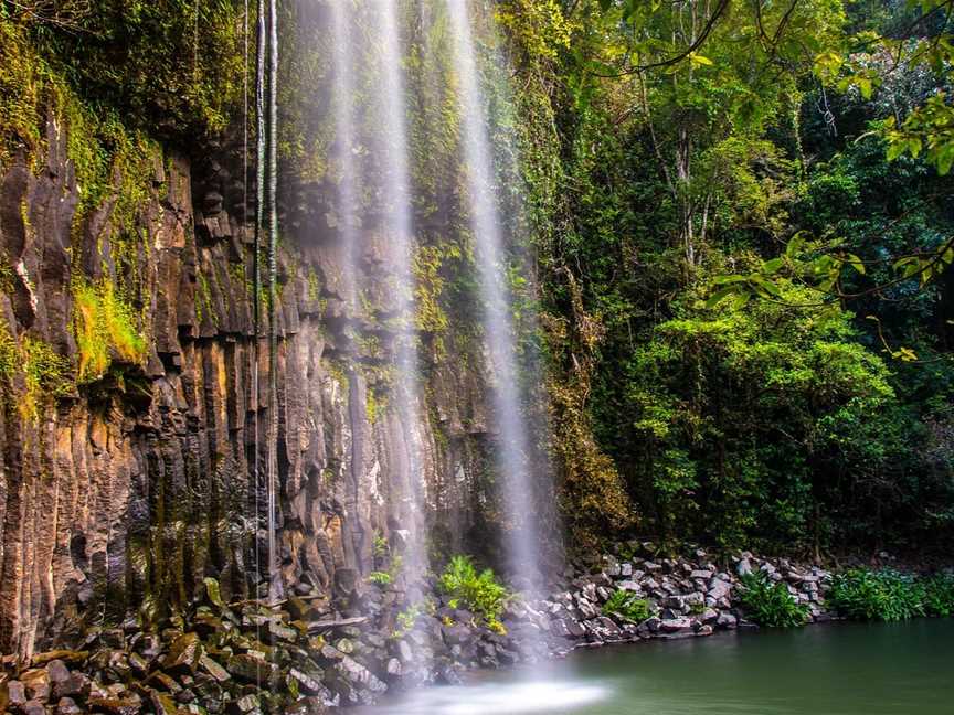 North Queensland Wildscapes, Cairns City, QLD