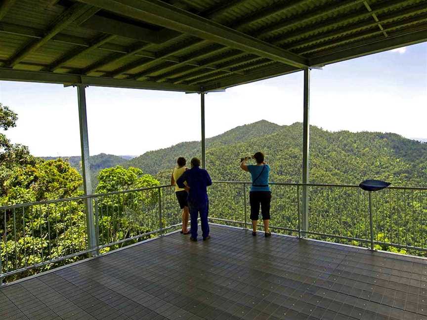 North Queensland Wildscapes, Cairns City, QLD