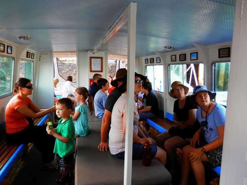 Dolphin Ferry Cruises, Tin Can Bay, QLD