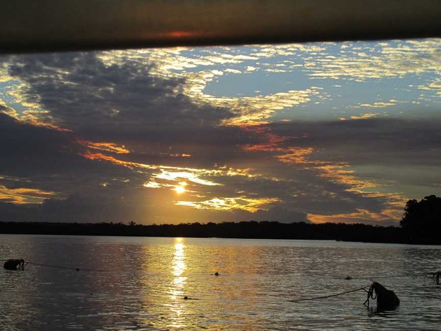 Dolphin Ferry Cruises, Tin Can Bay, QLD