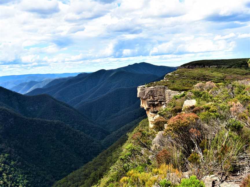 Wildscape Adventures, Sydney, NSW