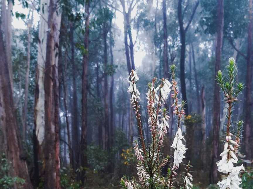 Wild Mindfulness Australia, Daylesford, VIC