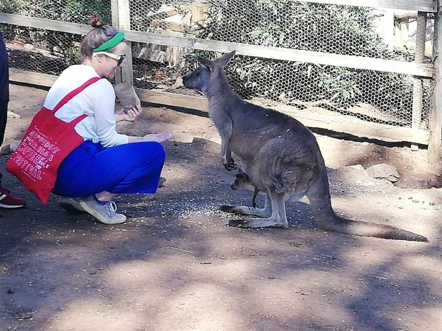 Personalised Tasmanian Tours, Hobart, TAS