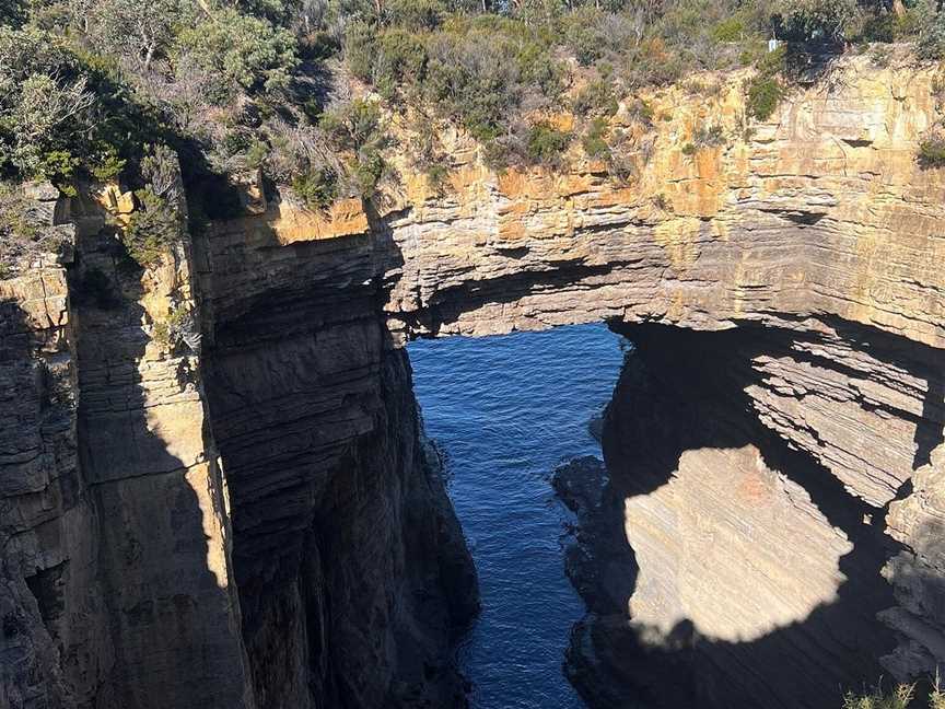 Experience Tasmania Tours, Hobart, TAS