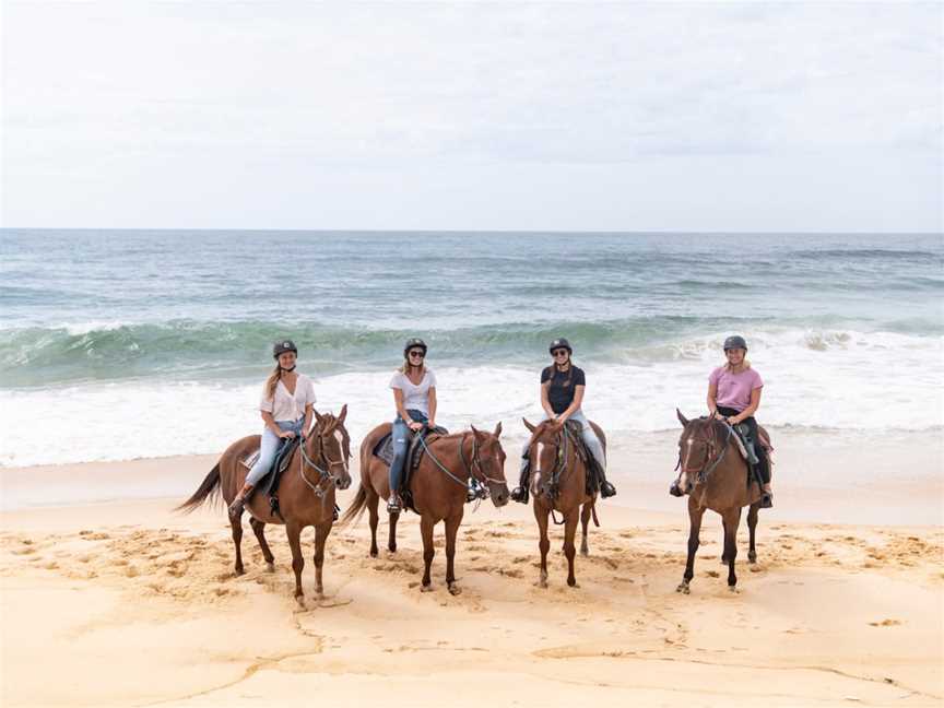 Horse About Tours, Tuncurry, NSW