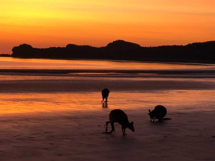 Sacred Voyage Tours, Airlie Beach, QLD