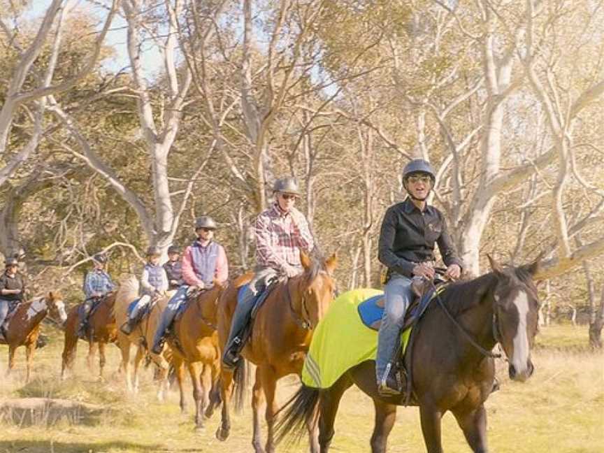 Woodlands Trail Riding, Greenvale, VIC