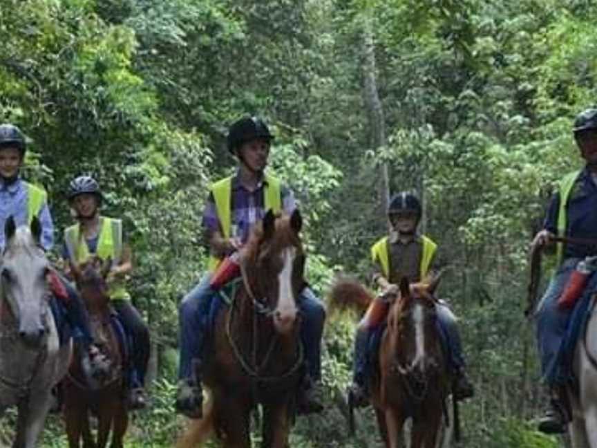 Mary Valley Adventure Trails - Day Tours, Amamoor, QLD