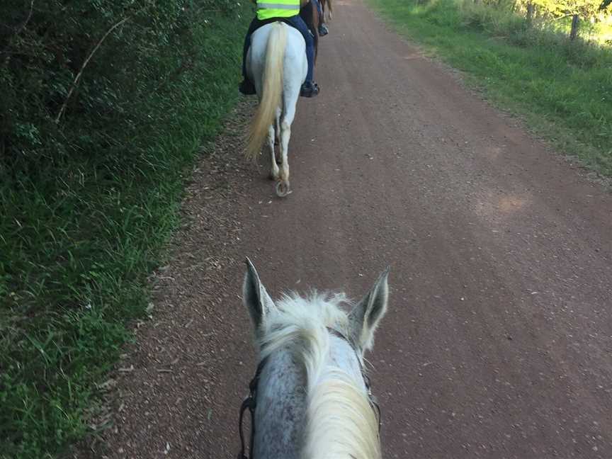 Mary Valley Adventure Trails - Day Tours, Amamoor, QLD