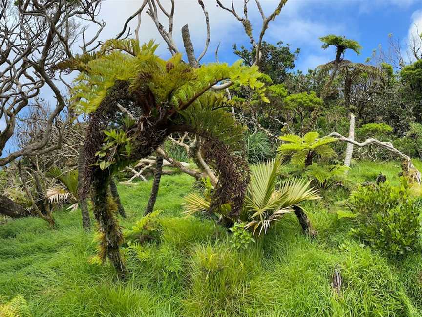 Lord Howe Island - Sea to Summit Expeditions, Lord Howe Island, NSW