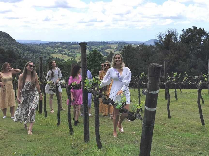 Mystic Mountain Tours, Montville, QLD