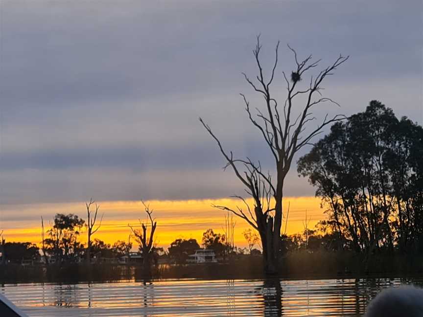 Renmark River Cruises, Renmark, SA