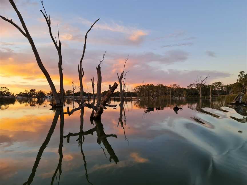 Renmark River Cruises, Renmark, SA