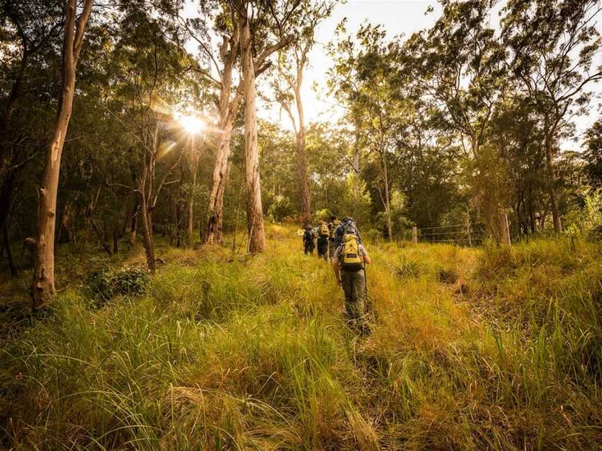 Scenic Rim Trail, Scenic Rim, QLD