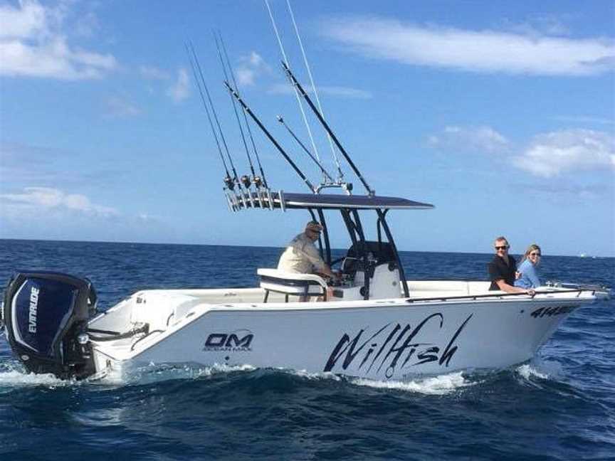 Willfish, Airlie Beach, QLD