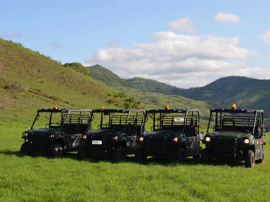 Oz Buggy Tours, Kingaham, QLD