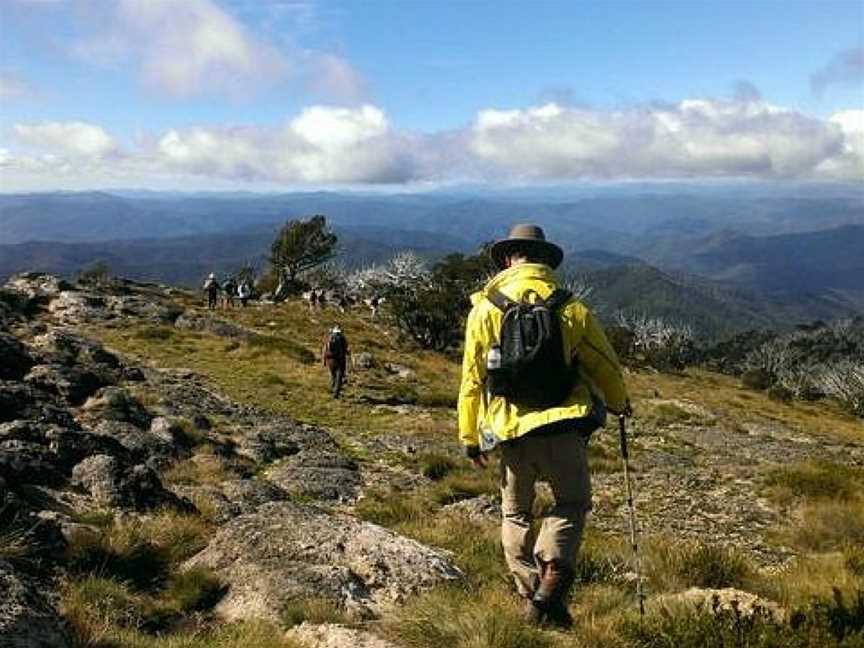 Hedonistic Hiking - Day Tours, Porepunkah, VIC