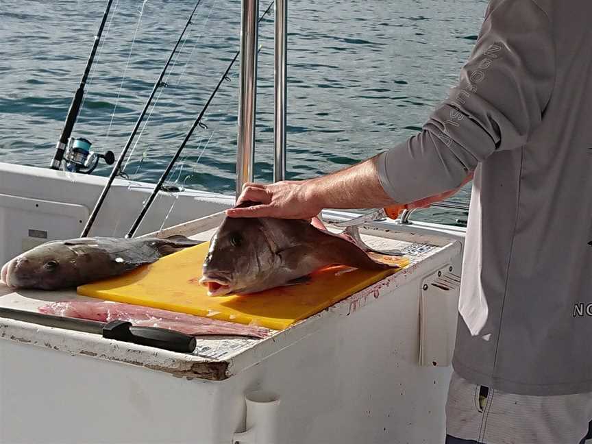 Fishing Offshore Noosa, Noosaville, QLD