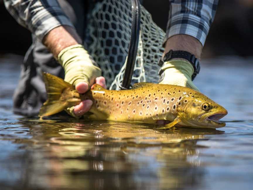 RiverFly 1864, Launceston, TAS